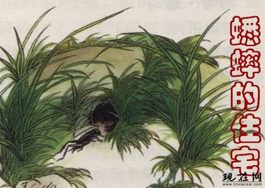 蟋蟀的住宅（法国昆虫学家让-亨利·卡西米尔·法布尔著作的文章）