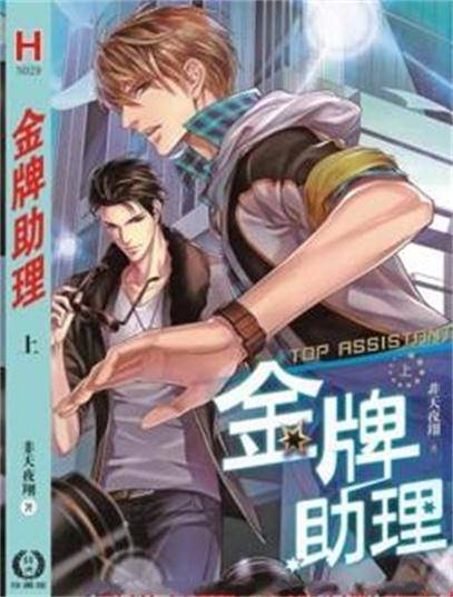 金牌助理（非天夜翔创作的近代现代类网络小说）