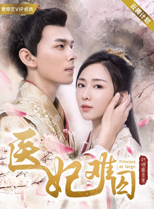 医妃难囚（2018年探花执导爱情古装网剧）