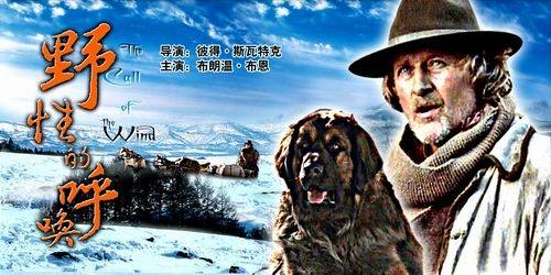 巴克(小说《荒野的呼唤》中的混血犬)