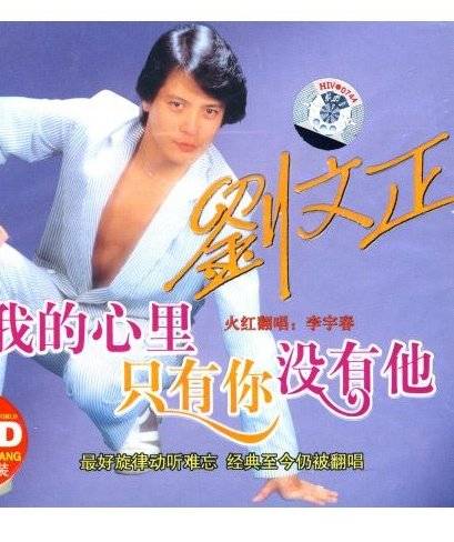 我的心里只有你没有他（歌曲名称）