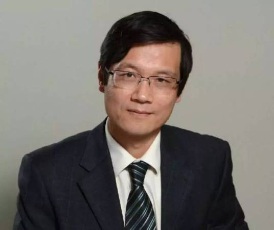 赵华（英国皇家工程院院士，中国工程院外籍院士）