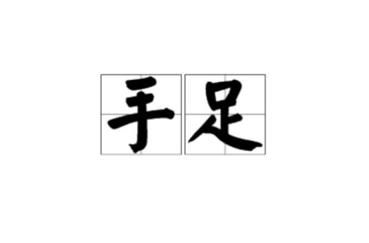 手足（汉语词语）