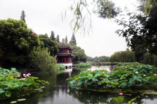 曲院风荷（杭州西湖十景之一）