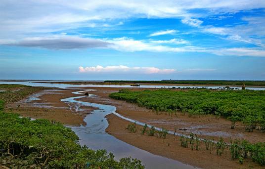 福田红树林自然保护区