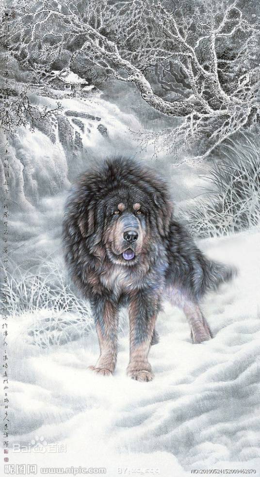 黑皇（辰东所著玄幻小说《遮天》三部曲及其衍生作品中的角色）