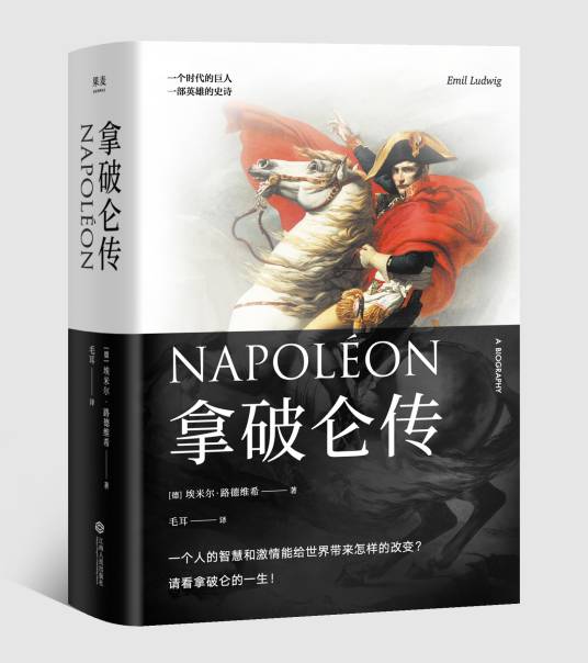 拿破仑传（2013年长江文艺出版社出版的图书）
