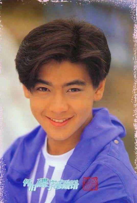 十七岁的雨季(林志颖演唱歌曲)