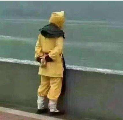 我要这铁棒有何用