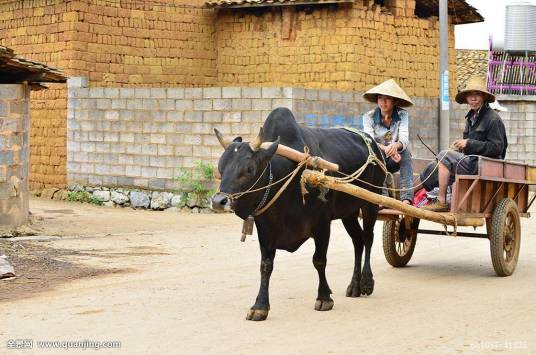 牛车（运输工具）