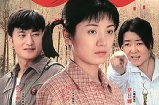 女工（2008年张辉力执导的剧情片）