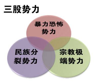 三股势力
