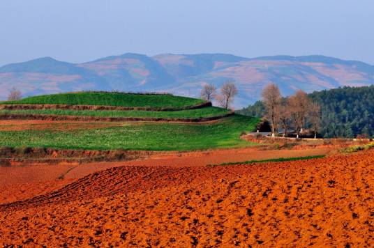 红土(岩石在湿热气候条件下风化形成的褐红色土壤)
