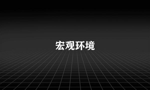 宏观环境