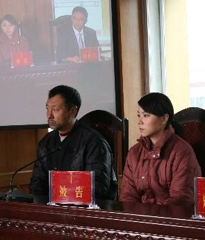 被告（法律术语）