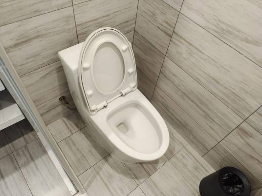 抽水马桶（马桶文化的革新）