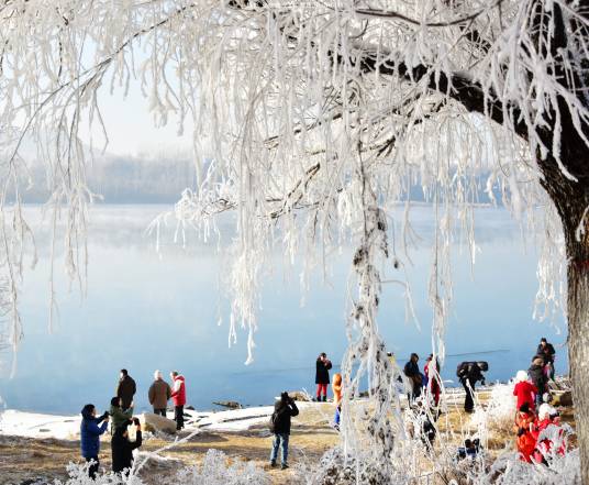 吉林雾凇（中国四大自然奇观-吉林市自然景观）
