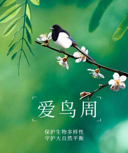 爱鸟周（为保护迁徙于中日两国间的候鸟而设立）