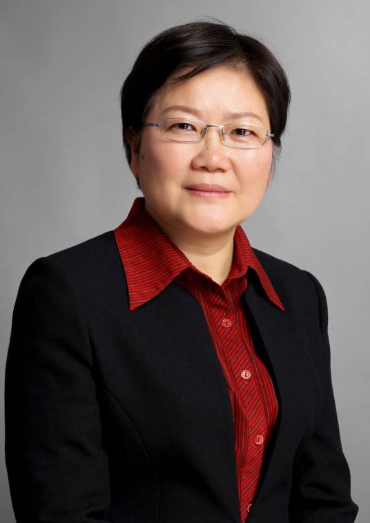 郑晓静(全国政协委员、中国科学院院士、力学家)