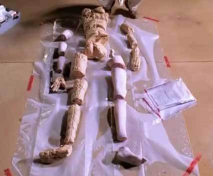 肢解（汉语词语）