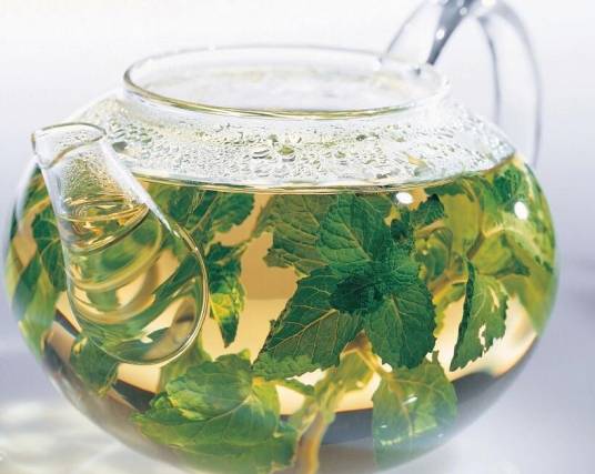 薄荷茶
