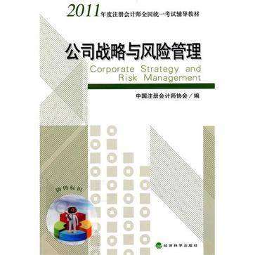 公司战略与风险管理（2011年经济科学出版社出版图书）