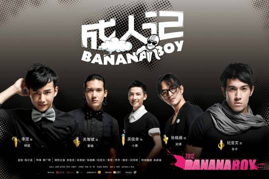 成人记（2012年柳广辉导演电视剧）