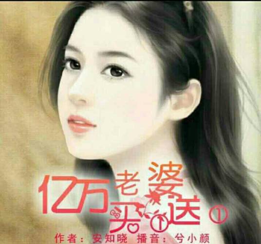 亿万老婆买一送一（2011年武汉出版社出版的图书）