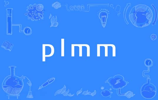 plmm（网络流行词）