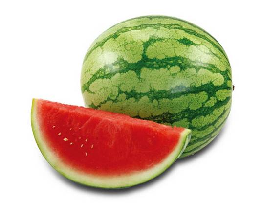 无籽西瓜（葫芦科西瓜属植物）