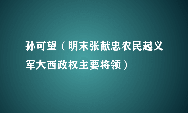 孙可望（明末张献忠农民起义军大西政权主要将领）