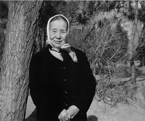 忆读书(冰心创作的一篇文章)