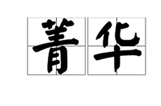 菁华（汉语词语）