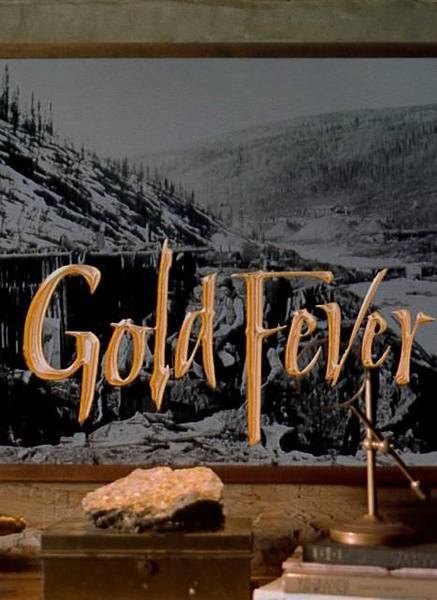 淘金热(美国西进运动)