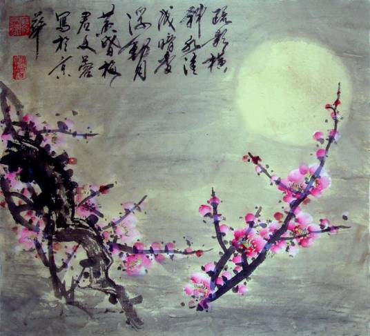 疏影横斜水清浅（林逋诗句）