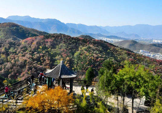 百望山森林公园