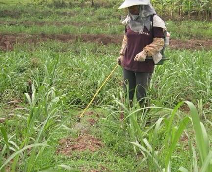 除草剂