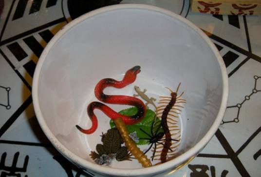 蛊毒(巫化的毒物)