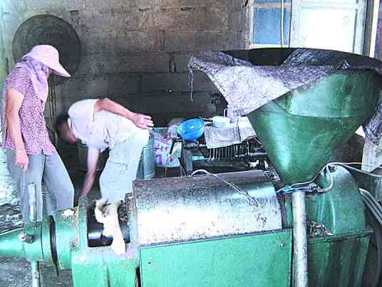 压榨（食用油制作方法）