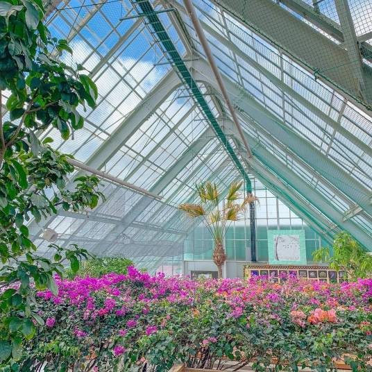 温室（汉语词语）