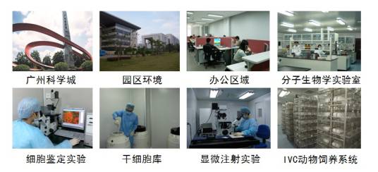 赛业(广州)生物科技有限公司