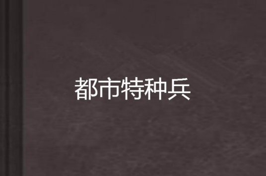 都市特种兵（夜十三著网络小说）