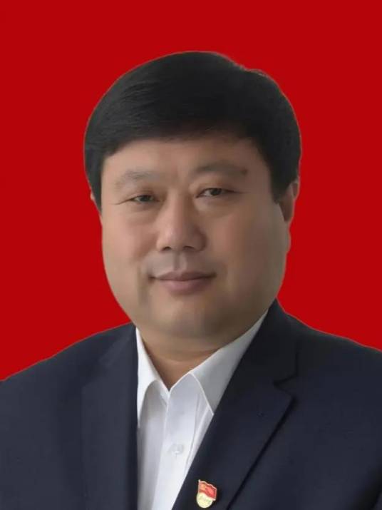 王传喜（十四届全国政协农业和农村委员会委员，山东省临沂市兰陵县委常委，卞庄街道代村社区党委书记、村委会主任）