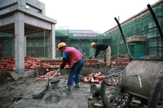 重建(生物学术语)