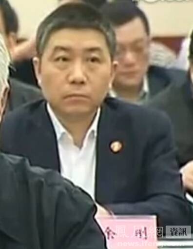 余刚（中央政法委办公室原副主任）