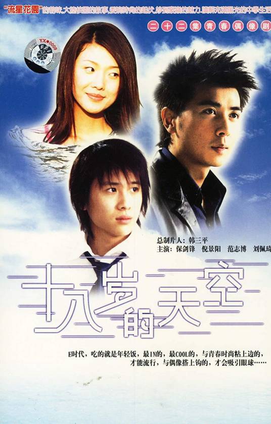 十八岁的天空（2002年保剑锋主演的校园青春偶像剧）