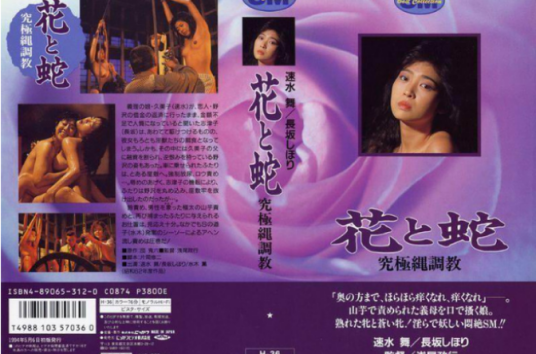 花与蛇之4究极绳调教