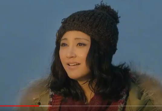 林夏（电视剧《北京爱情故事 》角色）