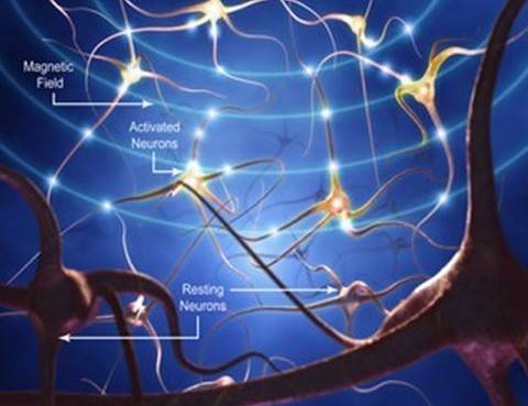 再生（病理学词汇）