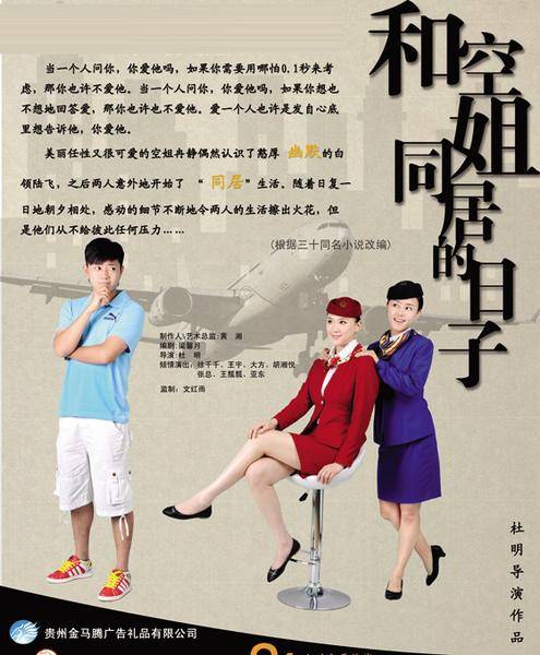 和空姐同居的日子(2009年中国海关出版社出版的图书)